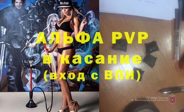 твердый Ельня