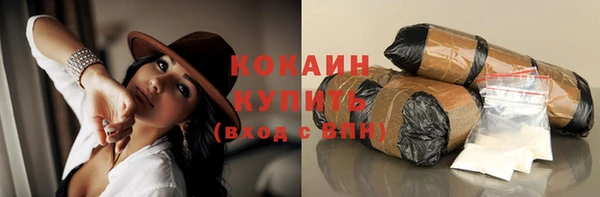 дмт Дмитров