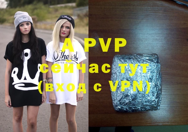 дмт Дмитров