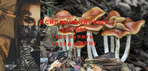 спайс Елабуга