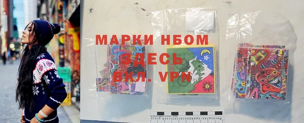 твердый Ельня