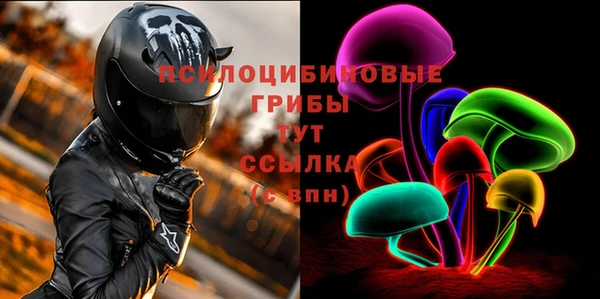 2c-b Елизово