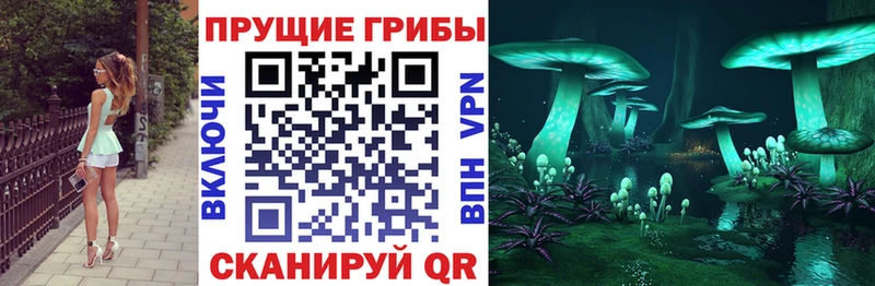 Галлюциногенные грибы мицелий  Геленджик 